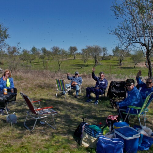 Almendro en flor 2026 (8)